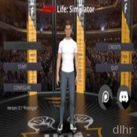 MMA Life Simulator